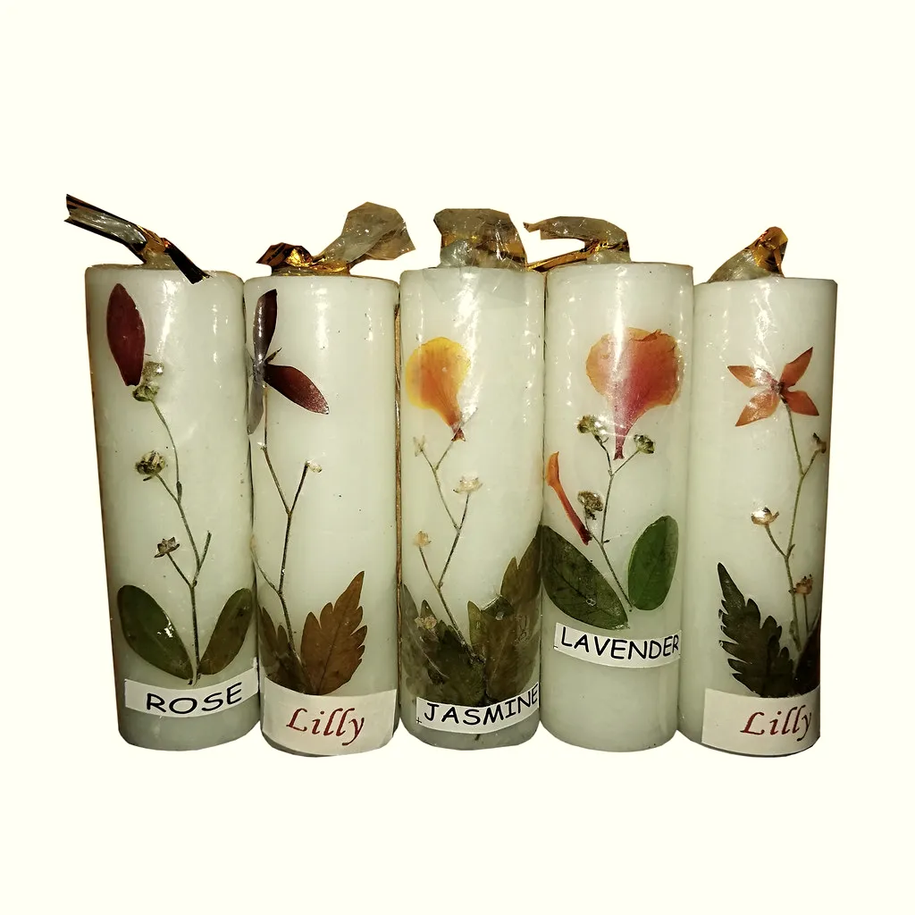 Herbier: Five pressed-flower pillars, boxed