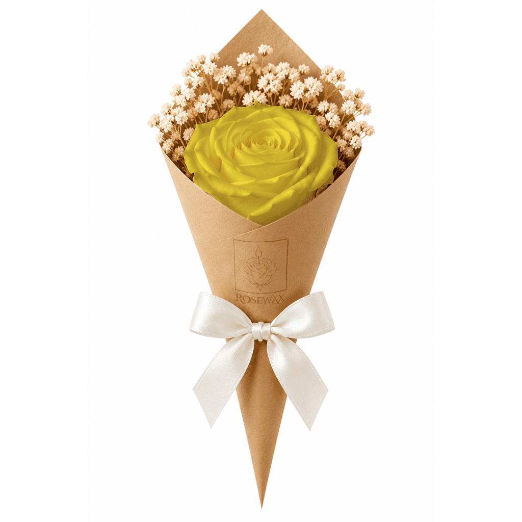 Aurore: Roses pêche et champagne, lumière du matin