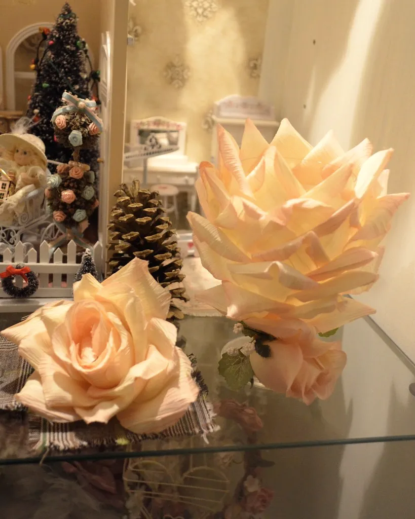 Aurore: Peach and champagne roses, morning light
